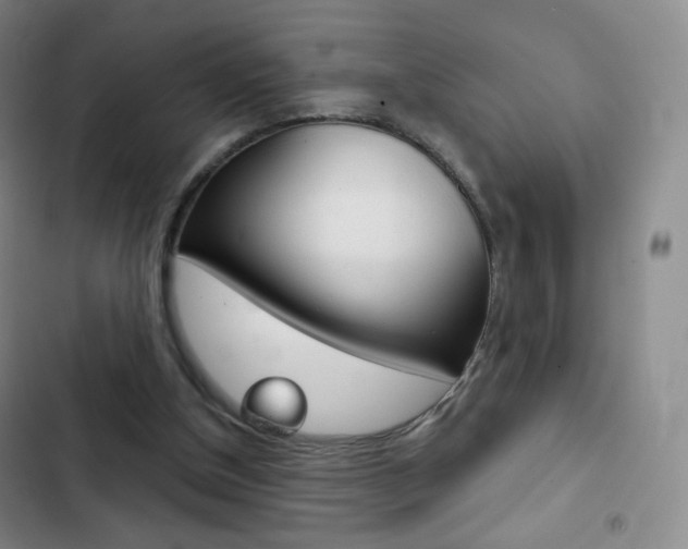 X0000103150154200808221136