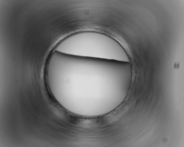 X0000103150155200808221136