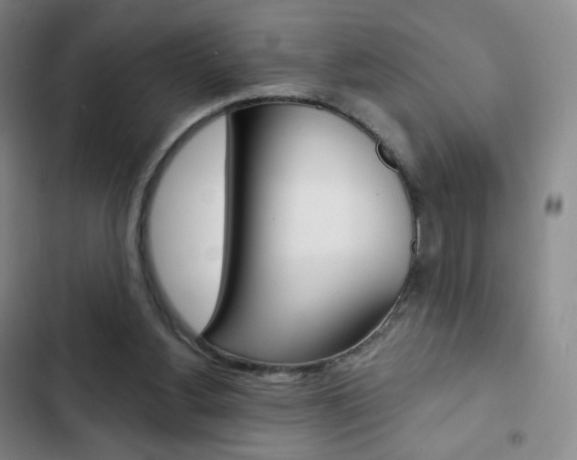 X0000103150156200808221136