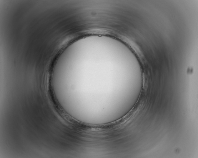 X0000103150157200808221136