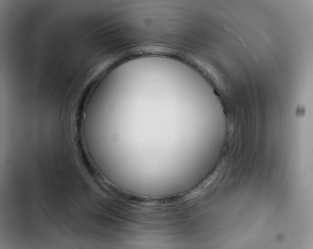 X0000103150158200808221136