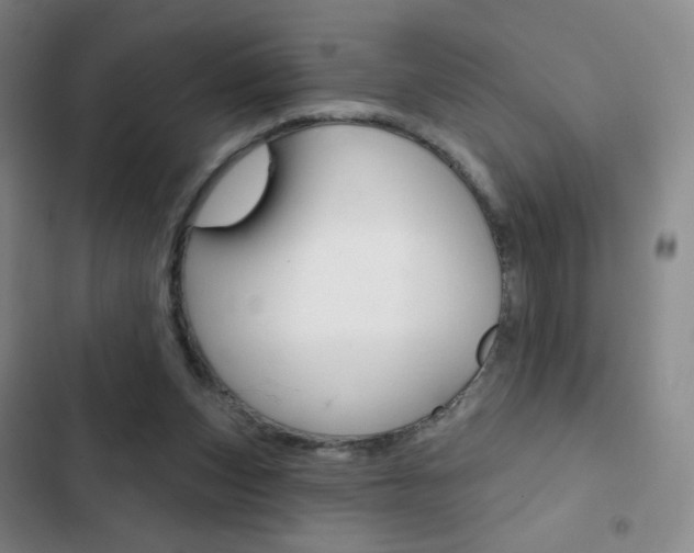 X0000103150159200808221136