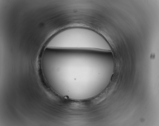 X0000103150160200808221136