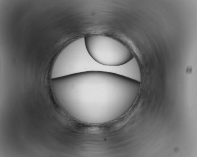 X0000103150161200808221136