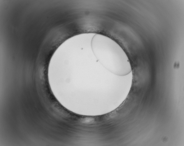 X0000103150162200808221136