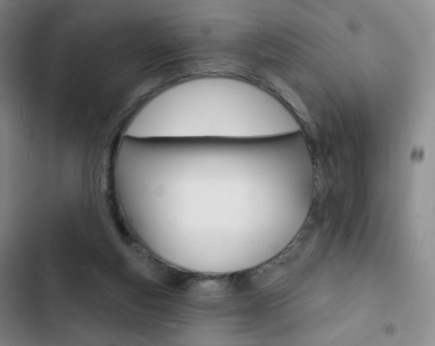 X0000103150163200808221136