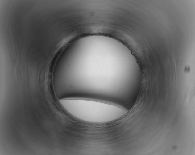 X0000103150164200808221136