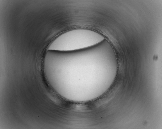 X0000103150165200808221136
