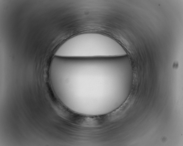 X0000103150166200808221136