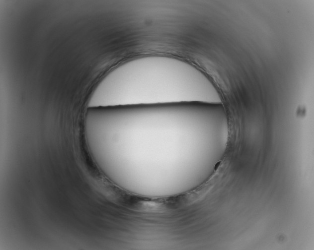 X0000103150167200808221136
