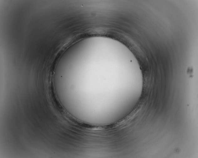 X0000103150168200808221136