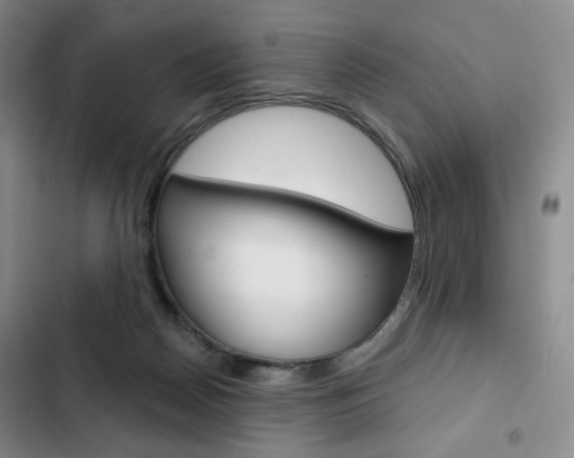 X0000103150170200808221137