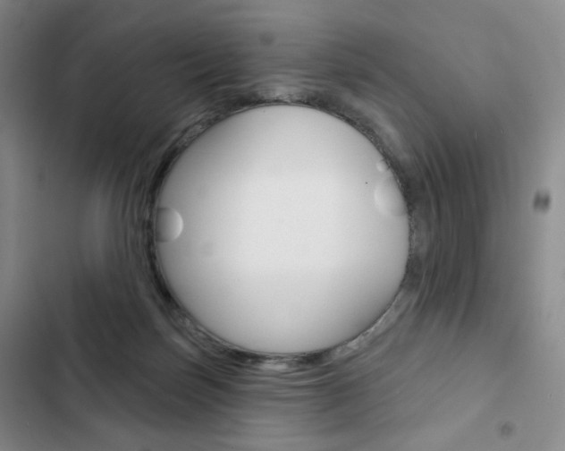 X0000103150171200808221137