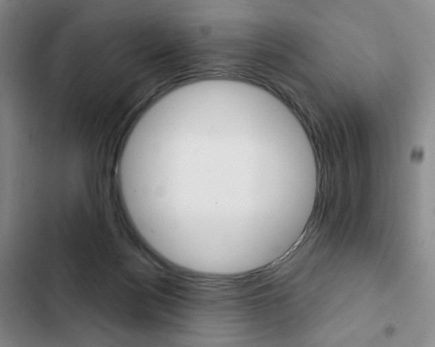 X0000103150172200808221137