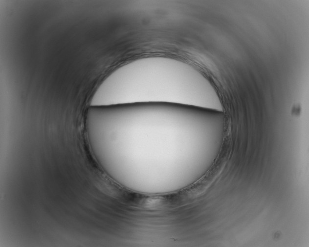 X0000103150173200808221137