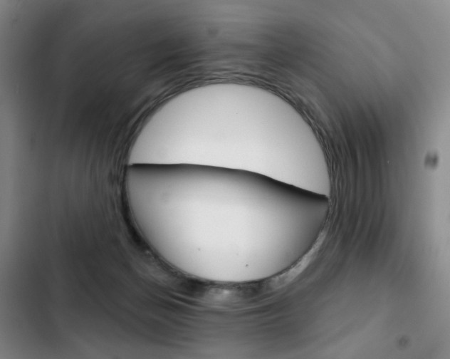 X0000103150174200808221137
