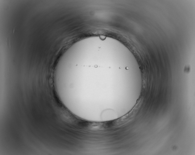 X0000103150175200808221137