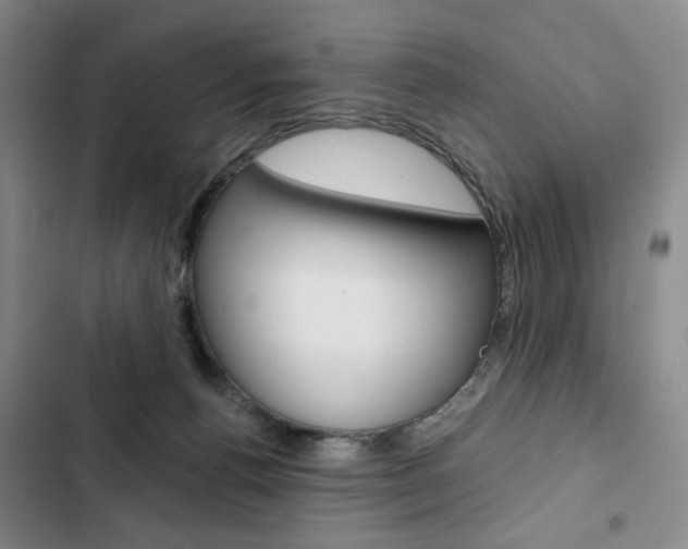 X0000103150176200808221137