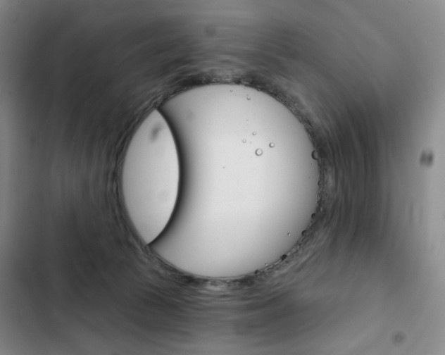 X0000103150177200808221137