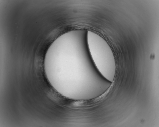 X0000103150178200808221137