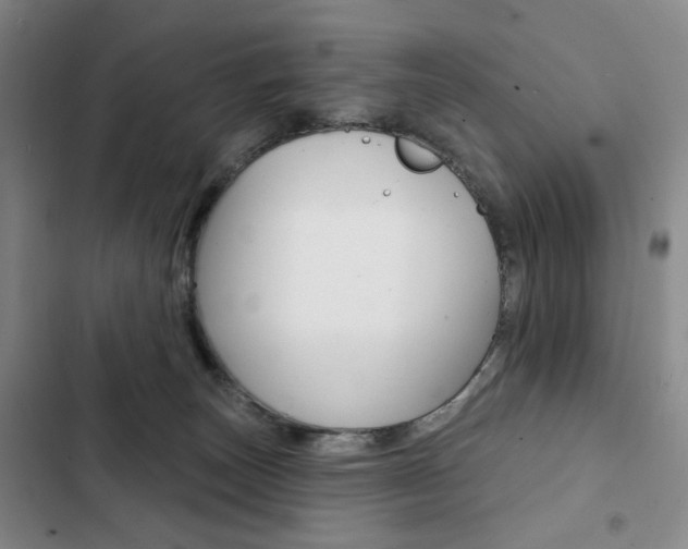 X0000103150179200808221137