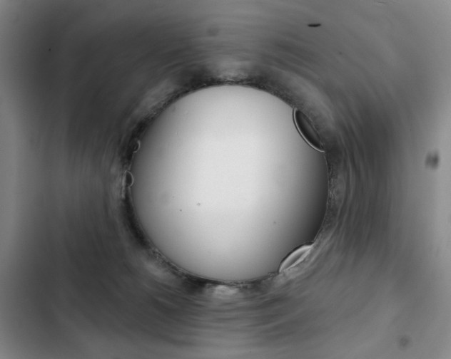X0000103150180200808221137