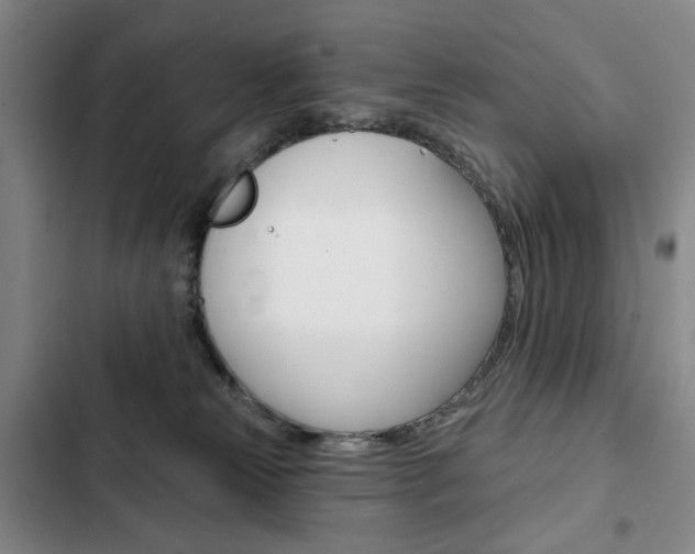 X0000103150181200808221137