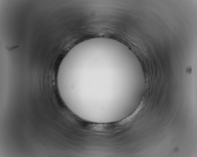 X0000103150182200808221137