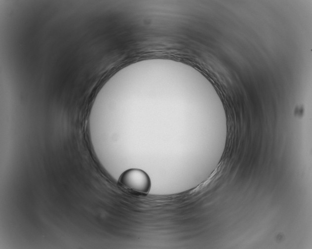 X0000103150184200808221137