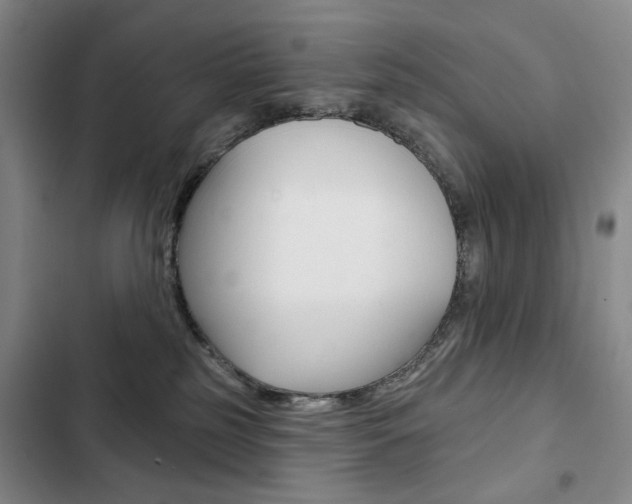 X0000103150185200808221137