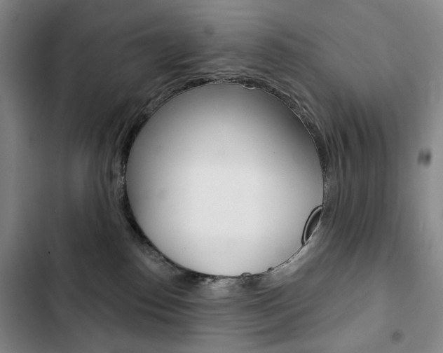 X0000103150186200808221137