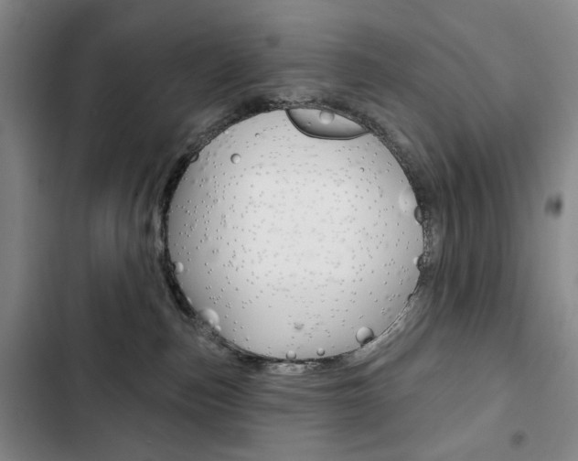 X0000103150187200808221137