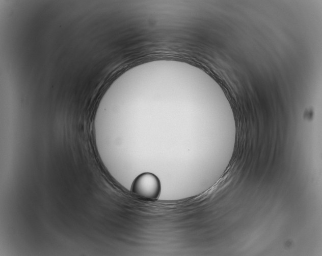 X0000103150188200808221137