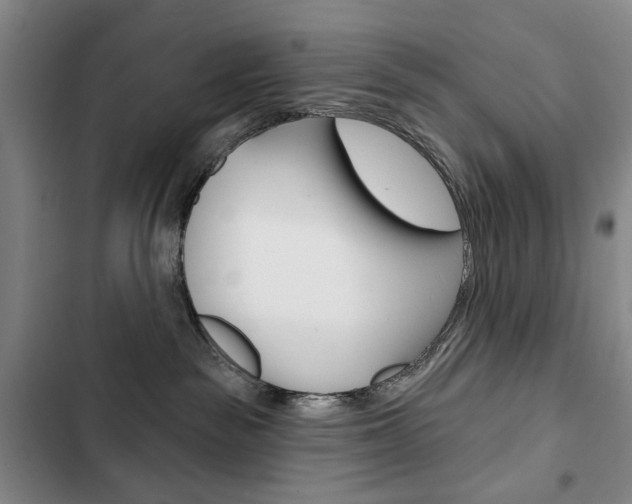 X0000103150189200808221137