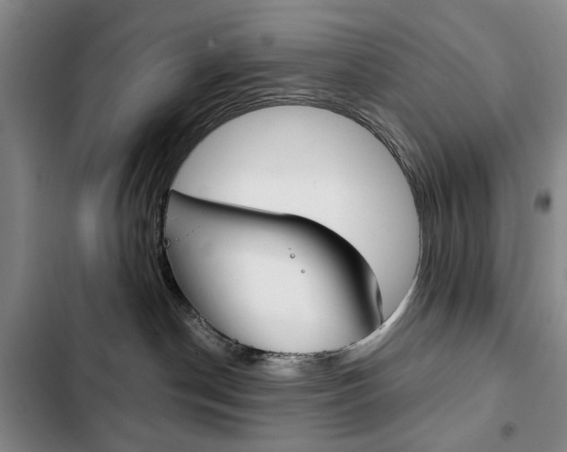 X0000103150190200808221137
