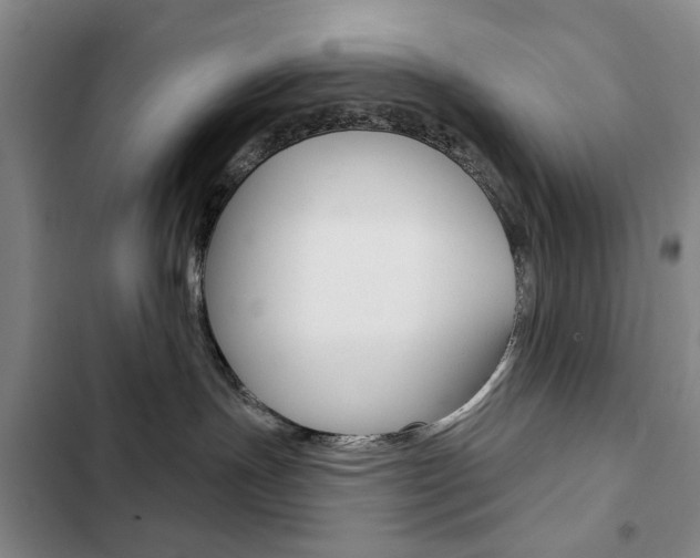 X0000103150191200808221137