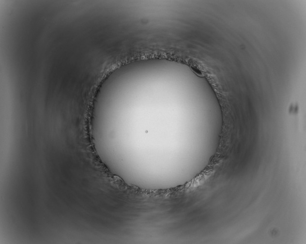 X0000103150192200808221137