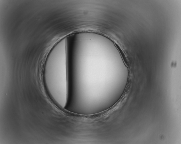X0000103150193200808221136
