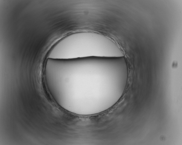 X0000103150194200808221136