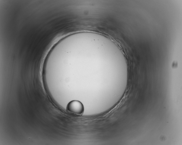 X0000103150195200808221136