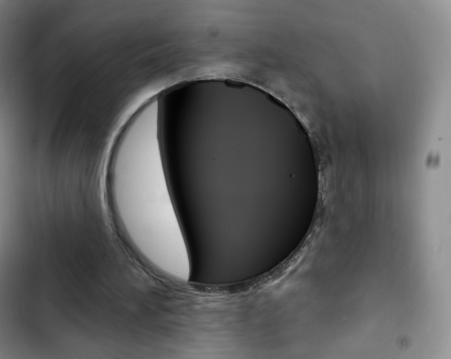 X0000103150196200808221136