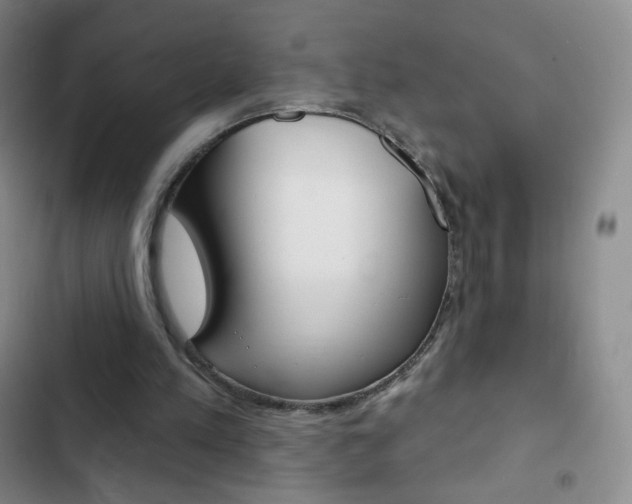 X0000103150197200808221136