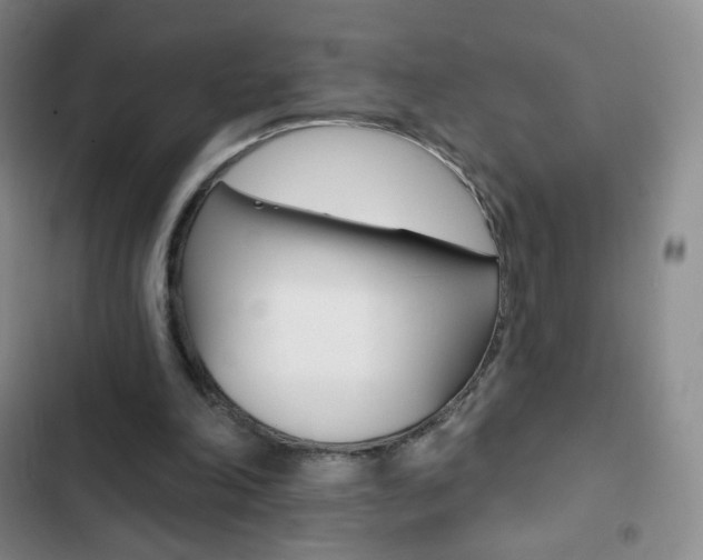 X0000103150198200808221136