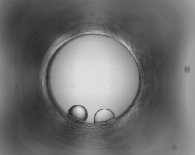 X0000103150199200808221136