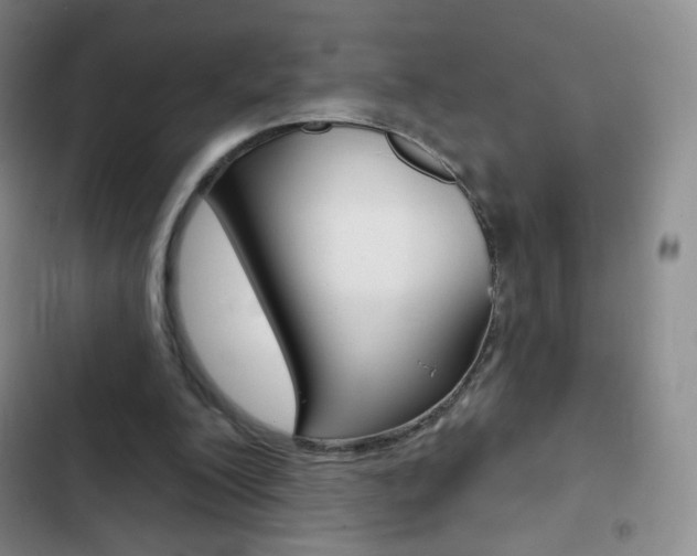 X0000103150200200808221136