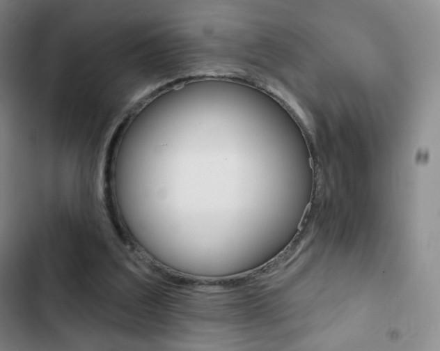 X0000103150203200808221136