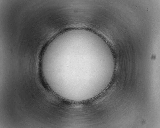 X0000103150206200808221136