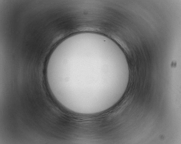 X0000103150207200808221136