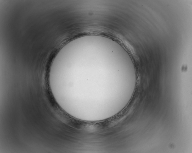 X0000103150209200808221136
