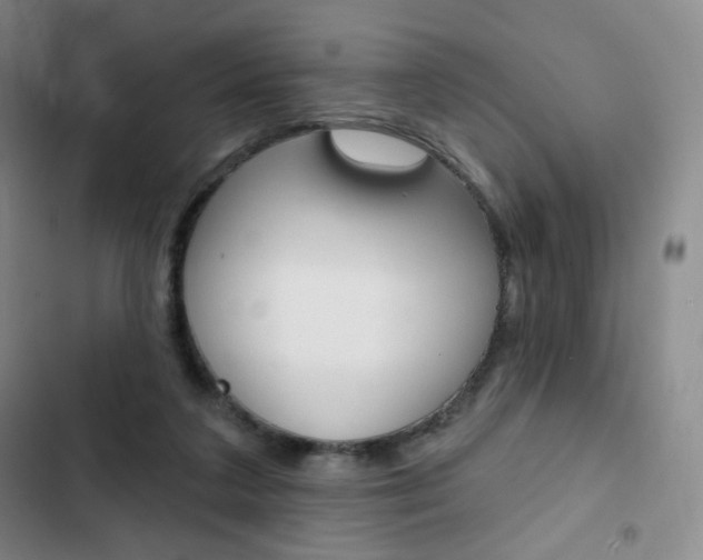 X0000103150211200808221136